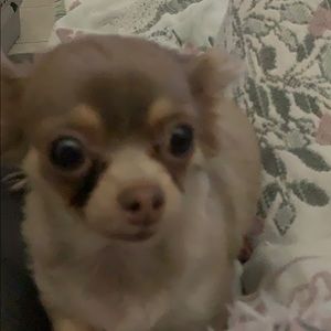 Meet your Posher, Nanette